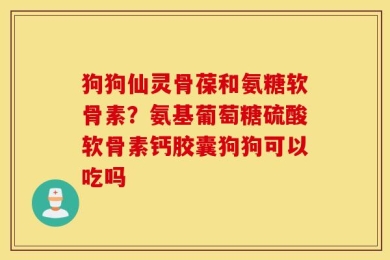 狗狗仙灵骨葆和氨糖软骨素？氨基葡萄糖硫酸软骨素钙胶囊狗狗可以吃吗