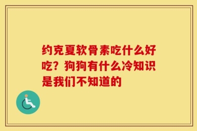 约克夏软骨素吃什么好吃？狗狗有什么冷知识是我们不知道的