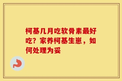 柯基几月吃软骨素最好吃？家养柯基生崽，如何处理为妥