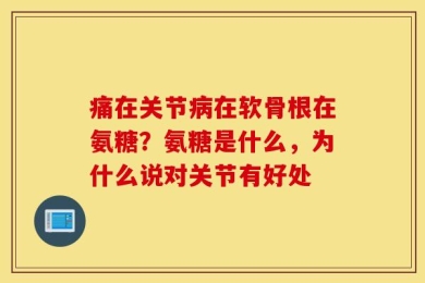 痛在关节病在软骨根在氨糖？氨糖是什么，为什么说对关节有好处