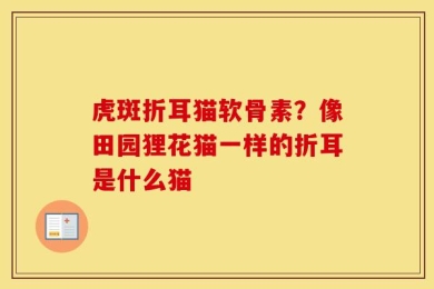 虎斑折耳猫软骨素？像田园狸花猫一样的折耳是什么猫