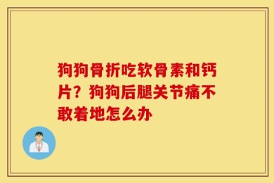狗狗骨折吃软骨素和钙片？狗狗后腿关节痛不敢着地怎么办