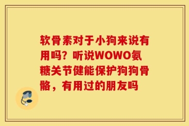 软骨素对于小狗来说有用吗？听说WOWO氨糖关节健能保护狗狗骨骼，有用过的朋友吗