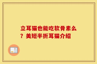 立耳猫也能吃软骨素么？美短半折耳猫介绍