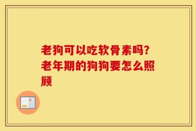 老狗可以吃软骨素吗？老年期的狗狗要怎么照顾