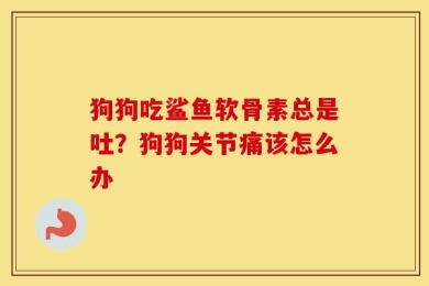 狗狗吃鲨鱼软骨素总是吐？狗狗关节痛该怎么办
