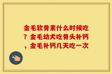 金毛软骨素什么时候吃？金毛幼犬吃骨头补钙，金毛补钙几天吃一次