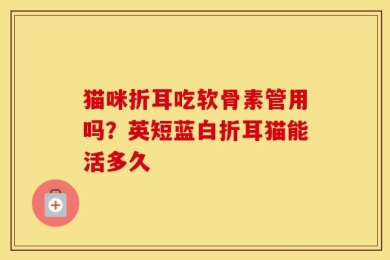 猫咪折耳吃软骨素管用吗？英短蓝白折耳猫能活多久
