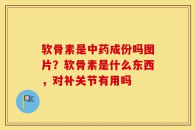 软骨素是中药成份吗图片？软骨素是什么东西，对补关节有用吗