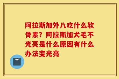 阿拉斯加外八吃什么软骨素？阿拉斯加犬毛不光亮是什么原因有什么办法变光亮