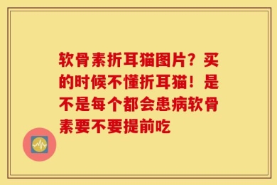 软骨素折耳猫图片？买的时候不懂折耳猫！是不是每个都会患病软骨素要不要提前吃