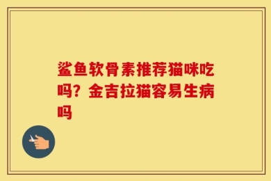 鲨鱼软骨素推荐猫咪吃吗？金吉拉猫容易生病吗