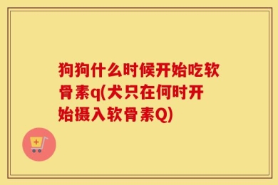 狗狗什么时候开始吃软骨素q(犬只在何时开始摄入软骨素Q)