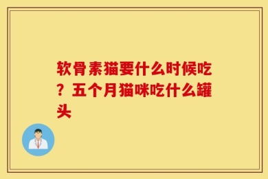软骨素猫要什么时候吃？五个月猫咪吃什么罐头