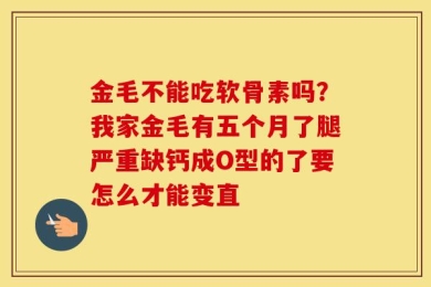 金毛不能吃软骨素吗？我家金毛有五个月了腿严重缺钙成O型的了要怎么才能变直