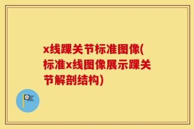 x线踝关节标准图像(标准x线图像展示踝关节解剖结构)