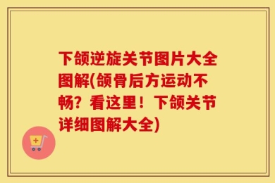 下颌逆旋关节图片大全图解(颌骨后方运动不畅？看这里！下颌关节详细图解大全)