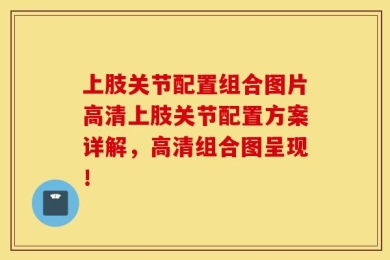 上肢关节配置组合图片高清上肢关节配置方案详解，高清组合图呈现！