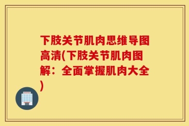 下肢关节肌肉思维导图高清(下肢关节肌肉图解：全面掌握肌肉大全)