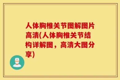 人体胸椎关节图解图片高清(人体胸椎关节结构详解图，高清大图分享)