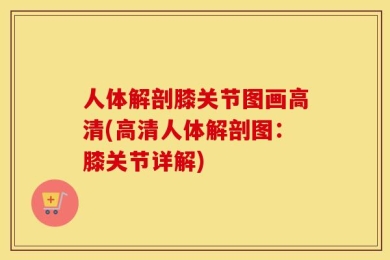 人体解剖膝关节图画高清(高清人体解剖图：膝关节详解)