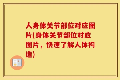 人身体关节部位对应图片(身体关节部位对应图片，快速了解人体构造)