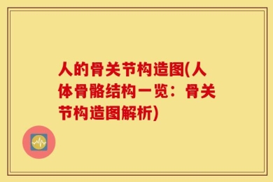 人的骨关节构造图(人体骨骼结构一览：骨关节构造图解析)