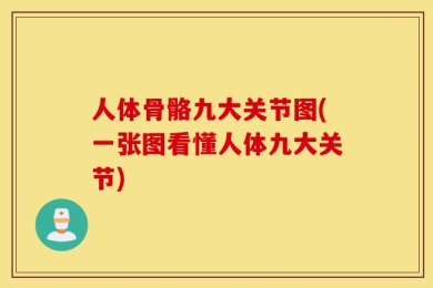人体骨骼九大关节图(一张图看懂人体九大关节)