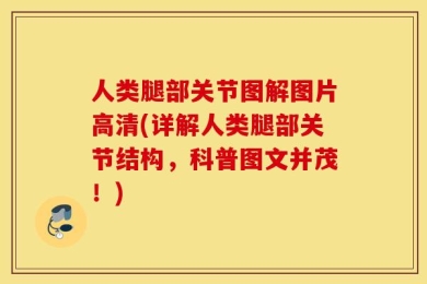 人类腿部关节图解图片高清(详解人类腿部关节结构，科普图文并茂！)