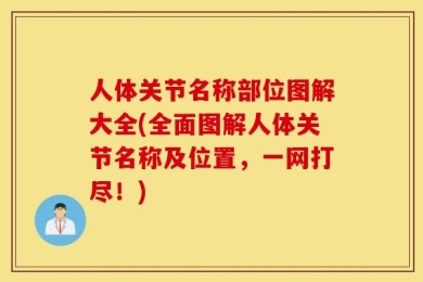 人体关节名称部位图解大全(全面图解人体关节名称及位置，一网打尽！)