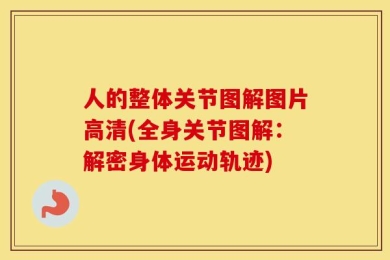 人的整体关节图解图片高清(全身关节图解：解密身体运动轨迹)