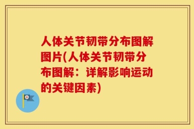 人体关节韧带分布图解图片(人体关节韧带分布图解：详解影响运动的关键因素)