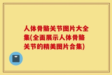 人体骨骼关节图片大全集(全面展示人体骨骼关节的精美图片合集)