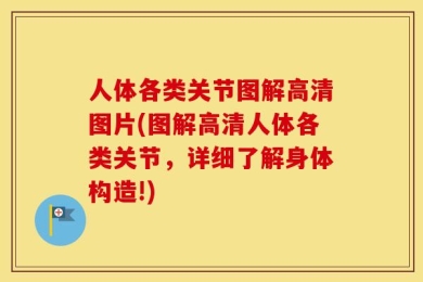 人体各类关节图解高清图片(图解高清人体各类关节，详细了解身体构造!)