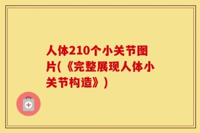 人体210个小关节图片(《完整展现人体小关节构造》)