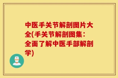 中医手关节解剖图片大全(手关节解剖图集：全面了解中医手部解剖学)