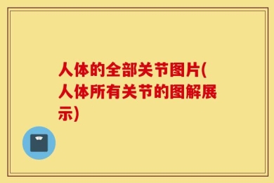 人体的全部关节图片(人体所有关节的图解展示)