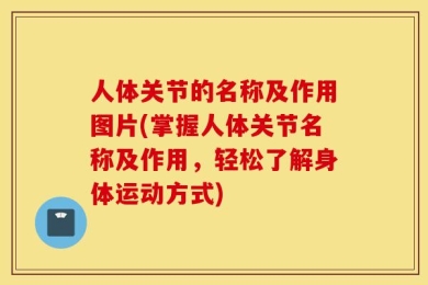 人体关节的名称及作用图片(掌握人体关节名称及作用，轻松了解身体运动方式)