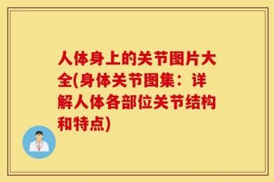 人体身上的关节图片大全(身体关节图集：详解人体各部位关节结构和特点)