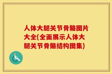 人体大腿关节骨骼图片大全(全面展示人体大腿关节骨骼结构图集)