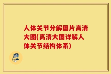 人体关节分解图片高清大图(高清大图详解人体关节结构体系)