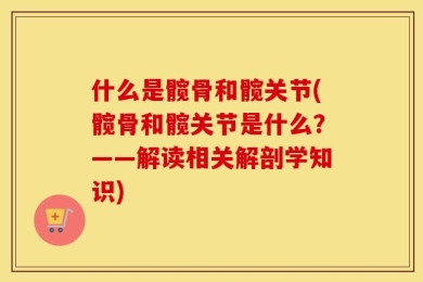 什么是髋骨和髋关节(髋骨和髋关节是什么？——解读相关解剖学知识)