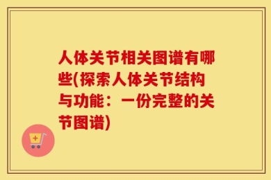 人体关节相关图谱有哪些(探索人体关节结构与功能：一份完整的关节图谱)