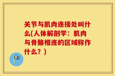 关节与肌肉连接处叫什么(人体解剖学：肌肉与骨骼相连的区域称作什么？)