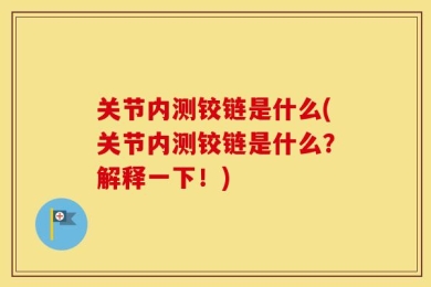 关节内测铰链是什么(关节内测铰链是什么？解释一下！)