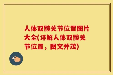 人体双髋关节位置图片大全(详解人体双髋关节位置，图文并茂)