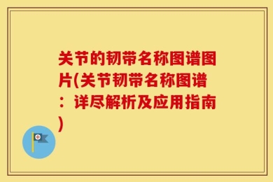 关节的韧带名称图谱图片(关节韧带名称图谱：详尽解析及应用指南)