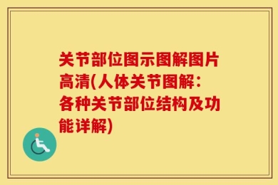 关节部位图示图解图片高清(人体关节图解：各种关节部位结构及功能详解)