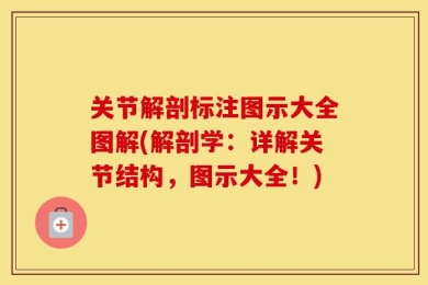 关节解剖标注图示大全图解(解剖学：详解关节结构，图示大全！)