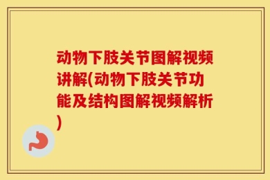 动物下肢关节图解视频讲解(动物下肢关节功能及结构图解视频解析)